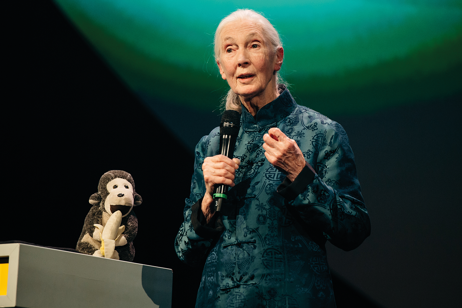 deutscher-nachhaltigkeitspreis-2026-ft-JaneGoodall.jpg